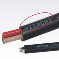 �C�񂥘I(y��)�C(j��)е����(w��)�wϵ